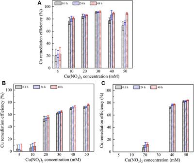 Effects of Bacterial Culture and Calcium Source Addition on Lead and Copper Remediation Using Bioinspired Calcium Carbonate Precipitation